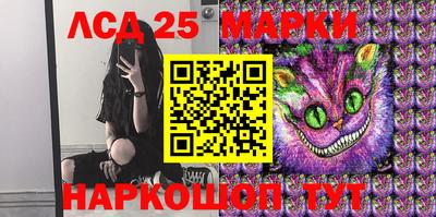 дурь Сланцы