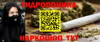 дурь Сланцы