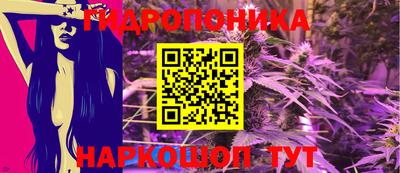 дурь Сланцы