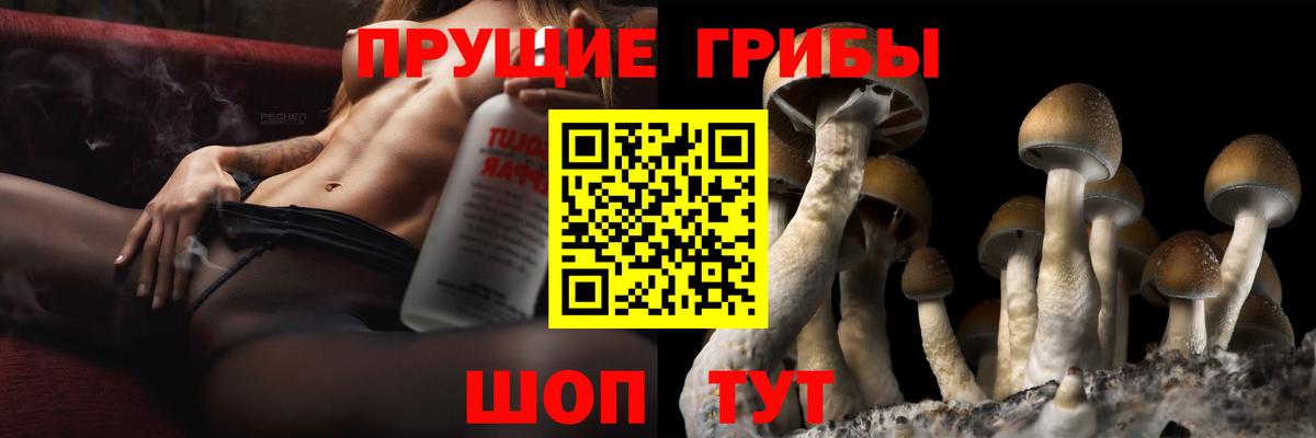 Полысаево  Псилоцибиновые грибы ЛСД  Вход с VPN 